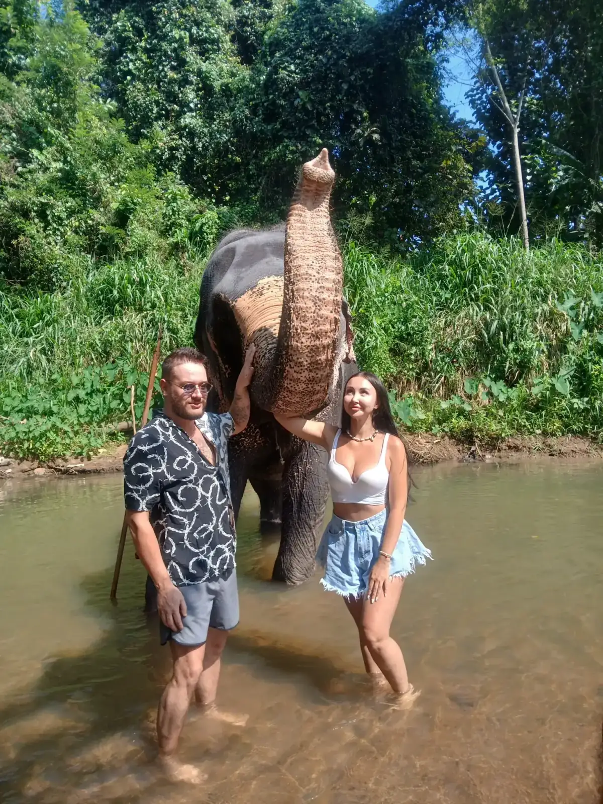Wild elephants grazing in the Sri Lankan bush